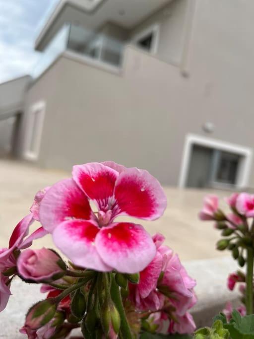 Villa Maria Eirini Lechaio Bagian luar foto